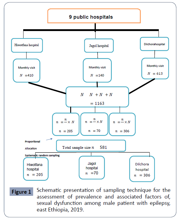 health-science-journal-Schematic