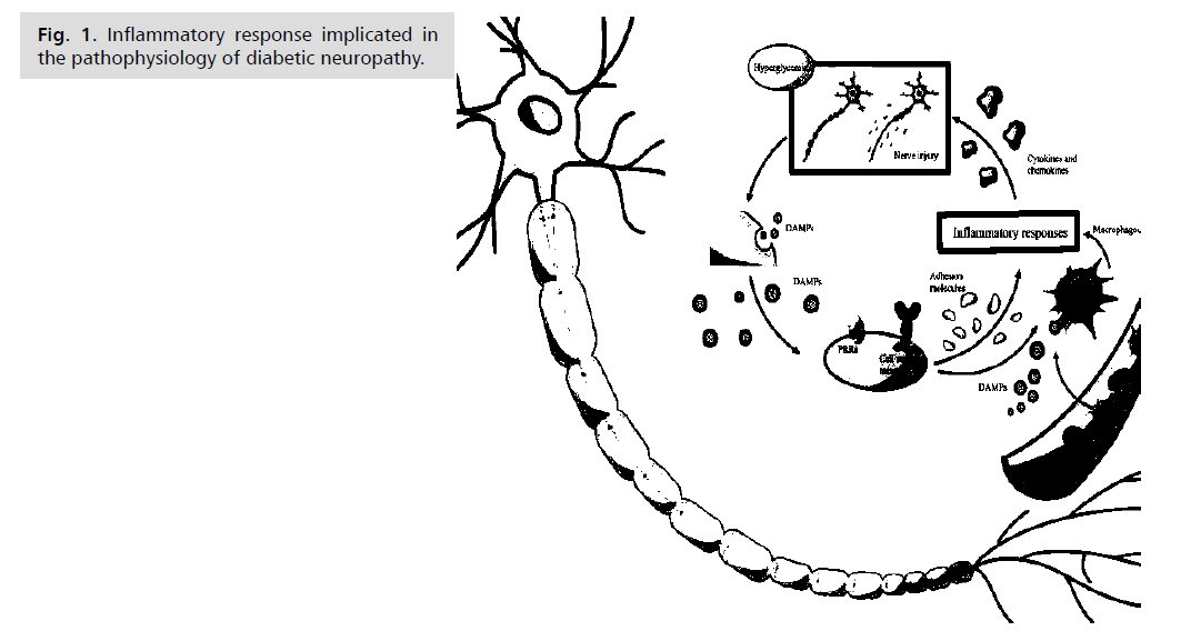 neurology-neuroscience-pathophysiology