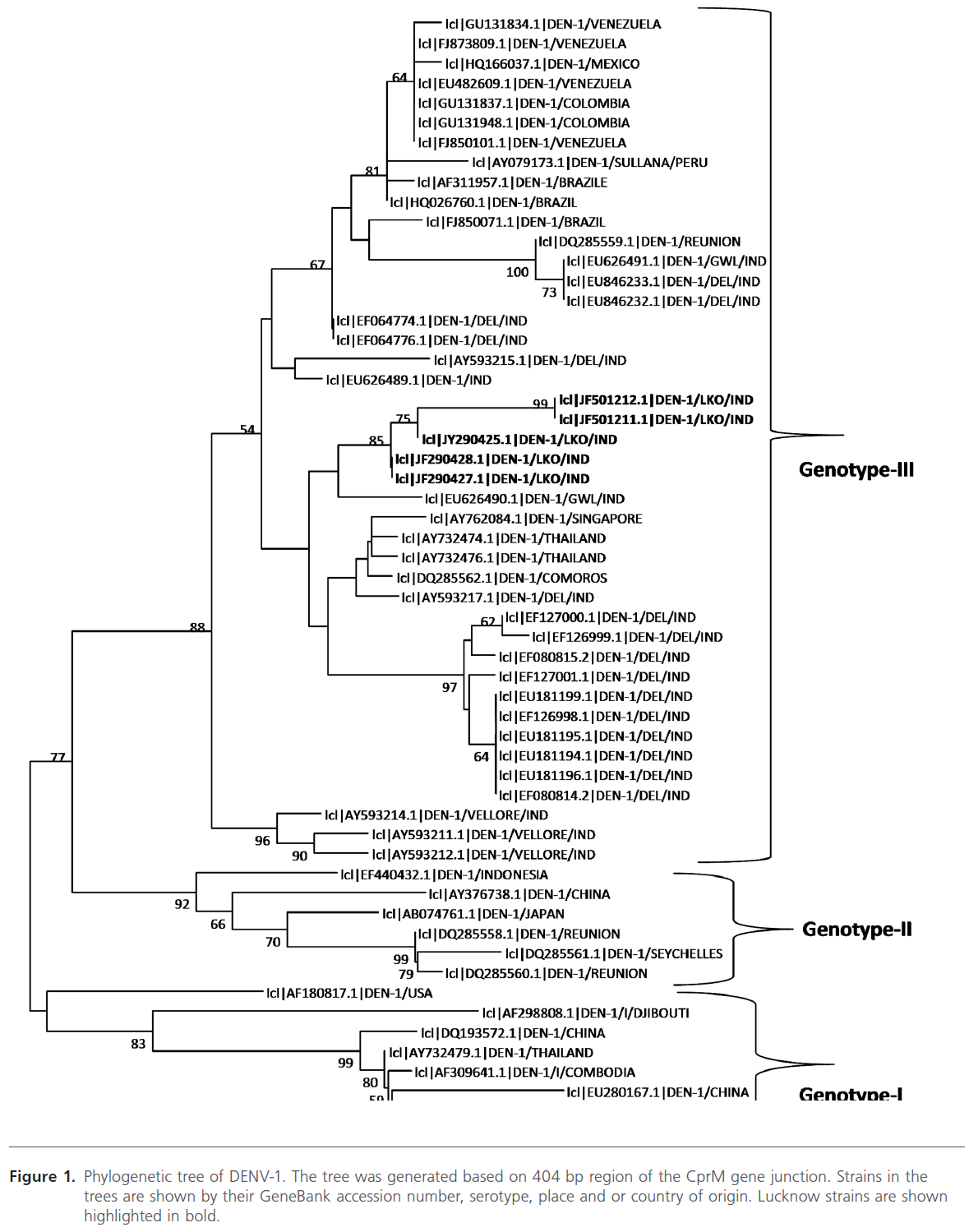 Archives-Clinical-Microbiology-GeneBank-accession-number