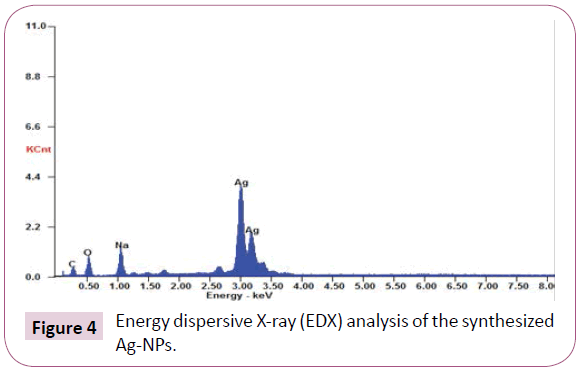 Archives-Clinical-Microbiology-dispersive-X-ray