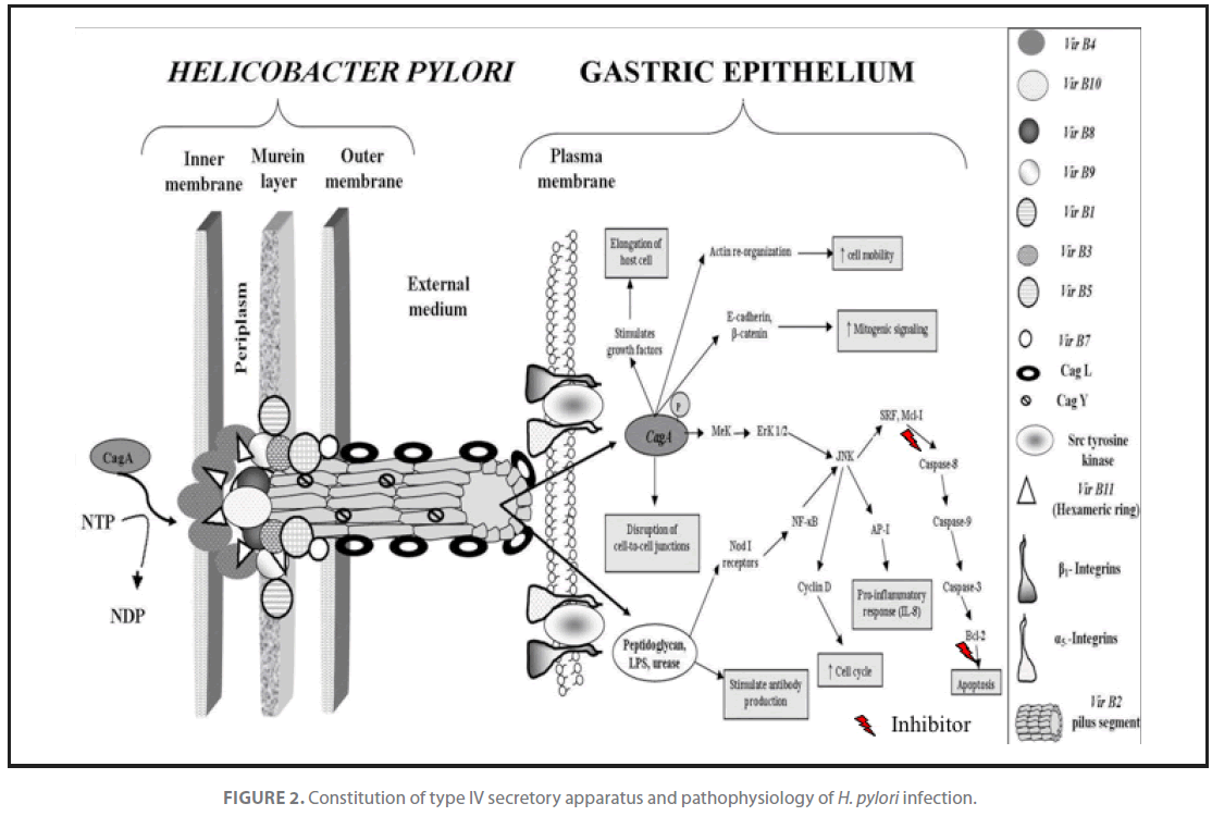 Archives-Clinical-Microbiology-secretory-apparatus-pathophysiology