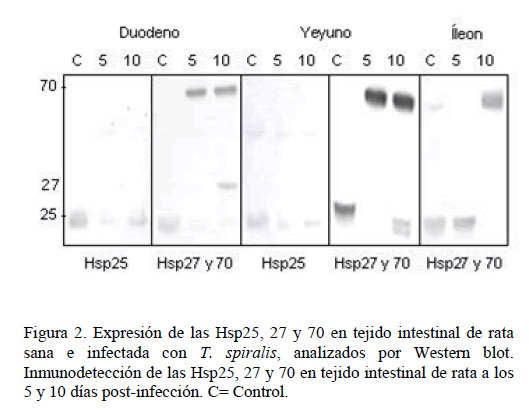 Archivos-de-Medicina-analizados-por