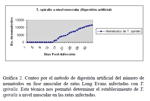 Archivos-de-Medicina-muscular