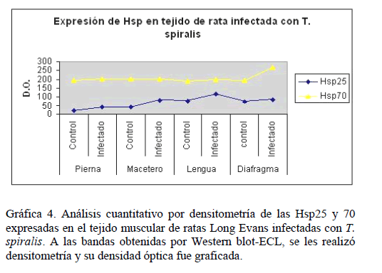 Archivos-de-Medicina-tejido-muscular