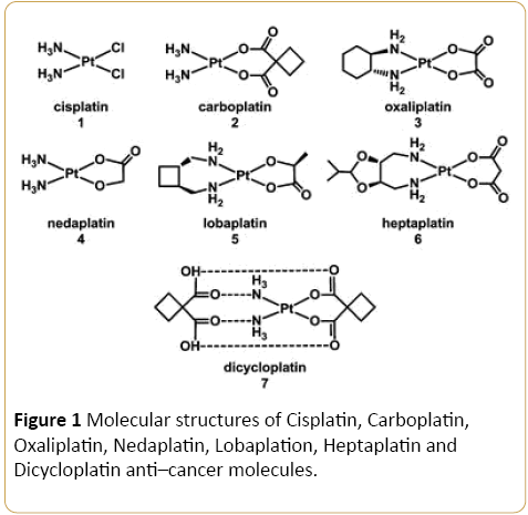 Cancer-Research-Molecular-Cisplatin