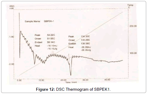 Drug-Development-Research-DSC-Thermogram-SBPEK1