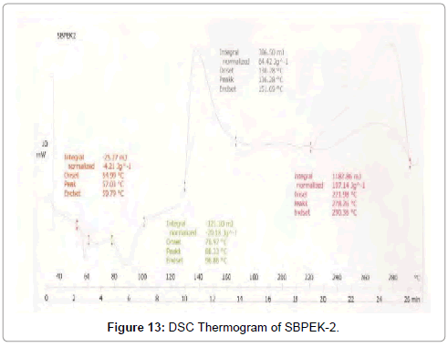 Drug-Development-Research-DSC-Thermogram-SBPEK2