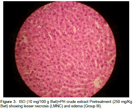 Drug-Development-Research-lesser-necrosis