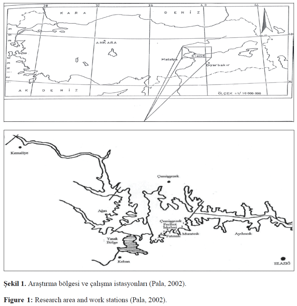 FisheriesSciences-Research-area-work-stations