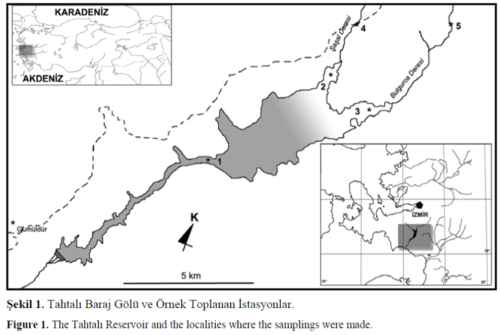 FisheriesSciences-Tahtali-Reservoir