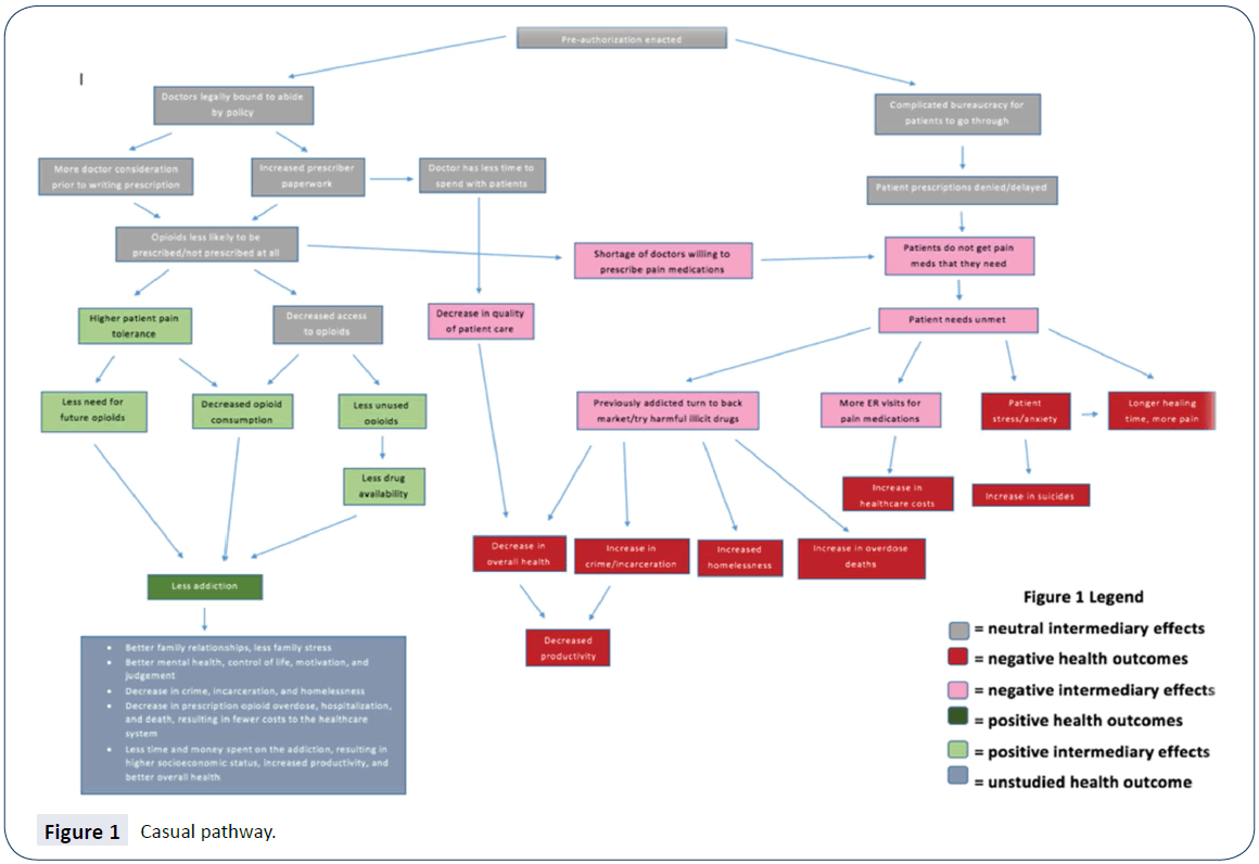 Health-Systems-Policy-Research-Casual-pathway