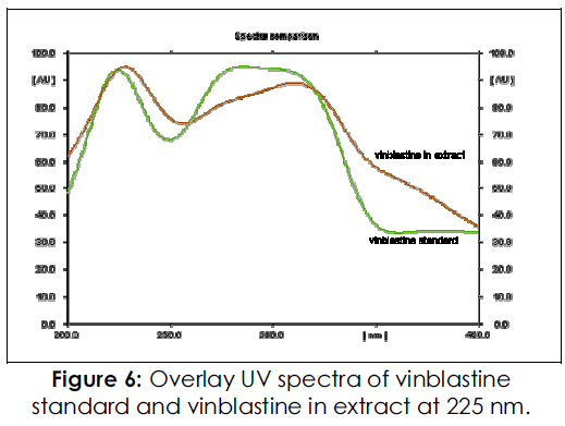 International-Journal-vinblastine-extract