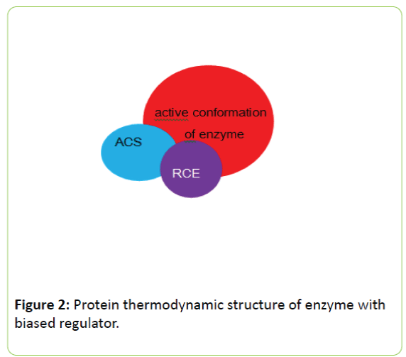 Molecular-Enzymology-enzyme-biased-regulator