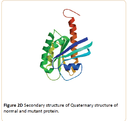 acanceresearch-Quaternary-structure