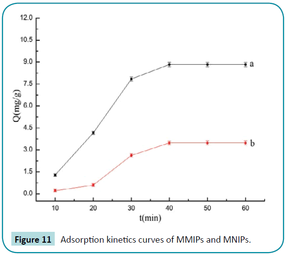 biomedical-sciences-Adsorption-kinetics