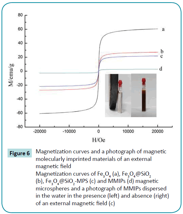 biomedical-sciences-Magnetization-curves