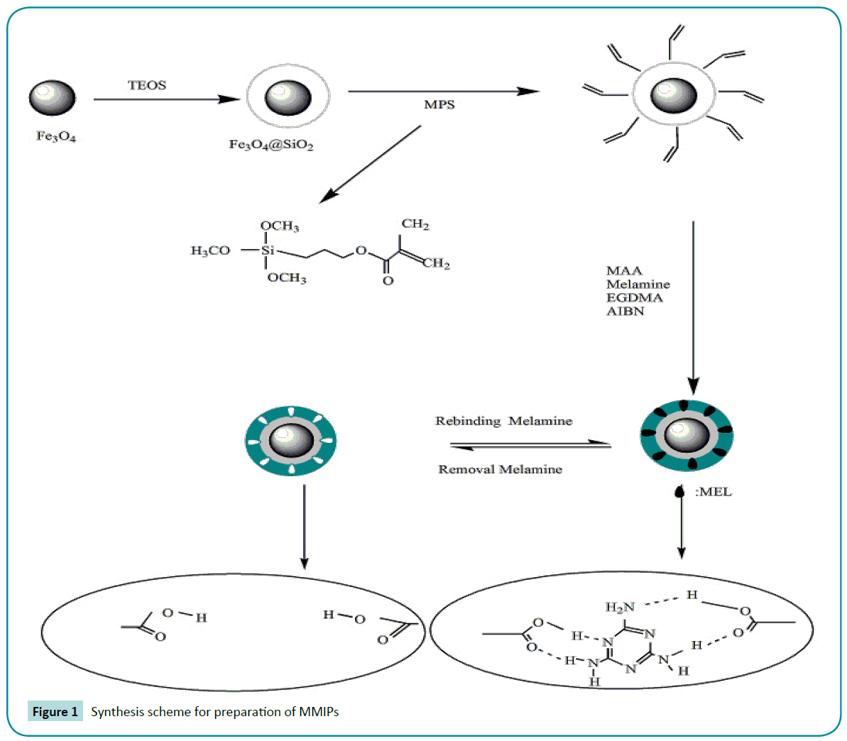 biomedical-sciences-Synthesis-scheme