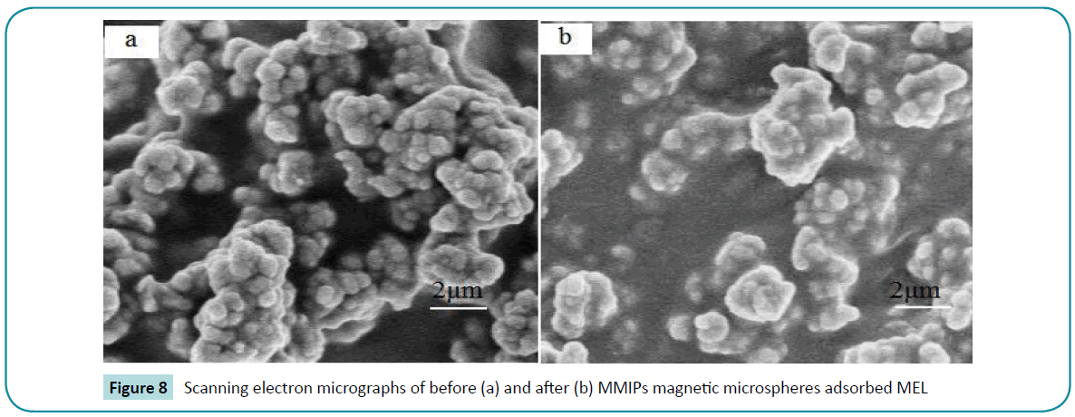 biomedical-sciences-electron-micrographs