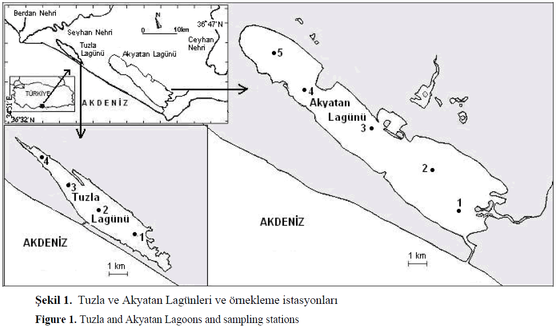 fisheriessciences-Akyatan-Lagoons