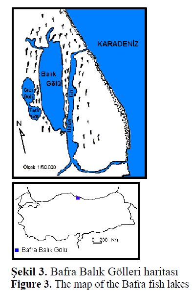 fisheriessciences-Bafra-fish-lakes