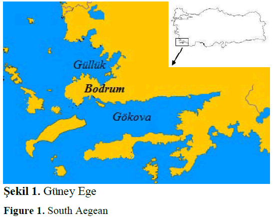 fisheriessciences-South-Aegean