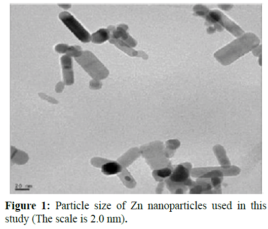 fisheriessciences-Zn-nanoparticles