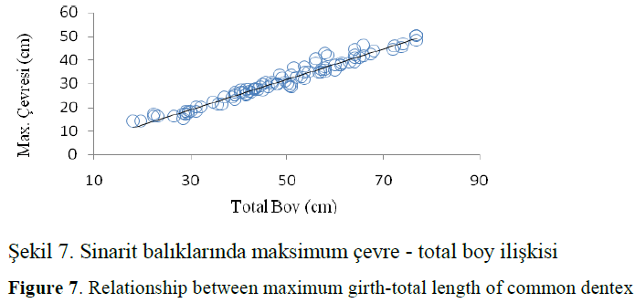 fisheriessciences-common-dentex