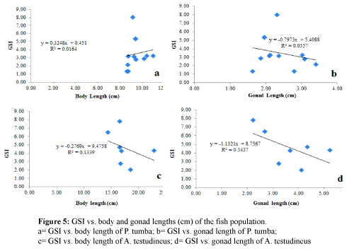 fisheriessciences-gonad-lengths