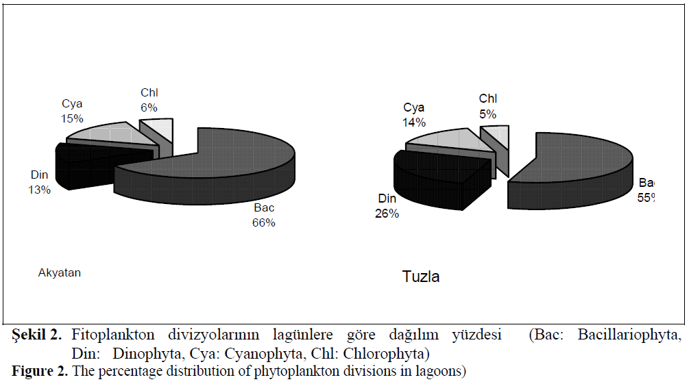 fisheriessciences-phytoplankton-divisions