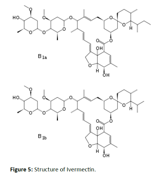 health-systems-Ivermectin