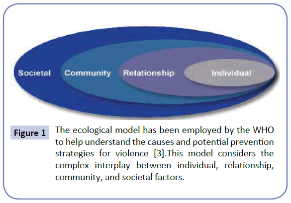 health-systems-policy-research-ecological-model