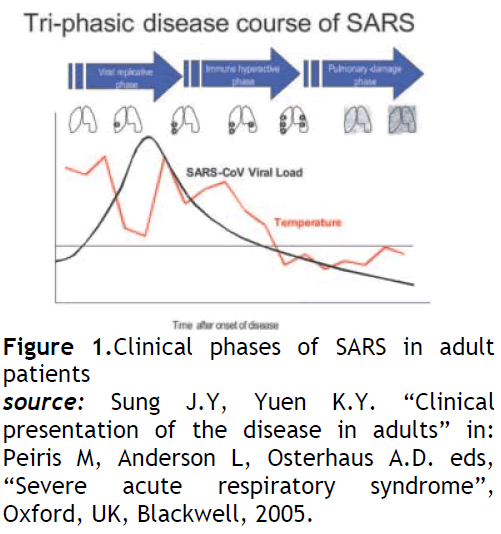 hsj-clinical-phases-adult-patients