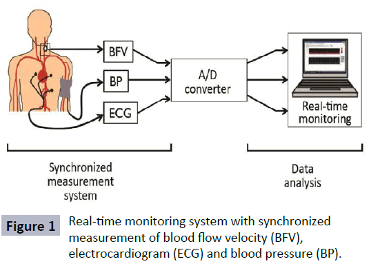 hsj-monitoring-synchronized-blood