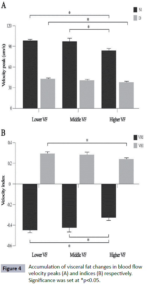 hsj-visceral-blood-velocity