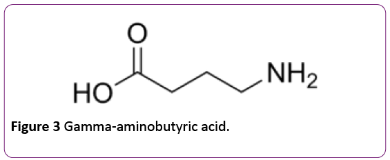 jneuro-Gamma-aminobutyric